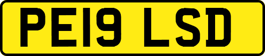 PE19LSD