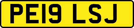 PE19LSJ