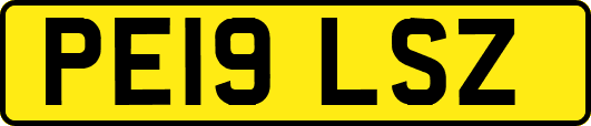 PE19LSZ