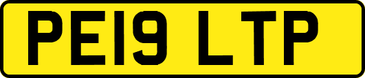 PE19LTP