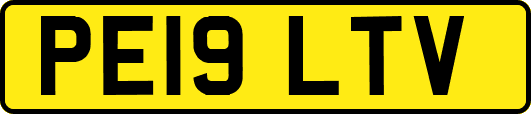 PE19LTV