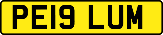 PE19LUM