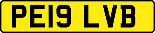 PE19LVB