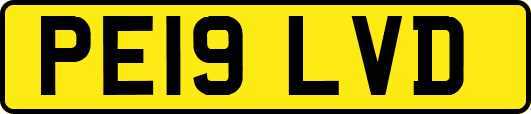 PE19LVD