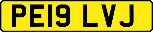 PE19LVJ