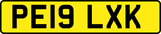 PE19LXK