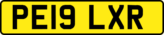 PE19LXR
