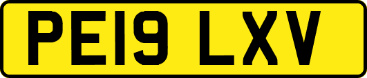 PE19LXV