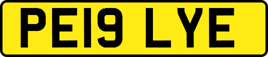 PE19LYE