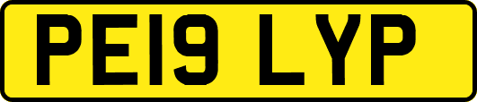 PE19LYP