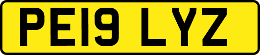 PE19LYZ