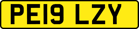 PE19LZY