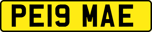 PE19MAE