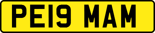 PE19MAM