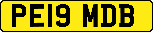 PE19MDB
