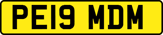 PE19MDM