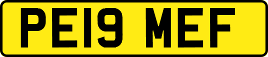PE19MEF