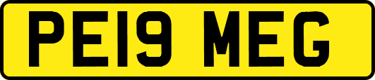 PE19MEG