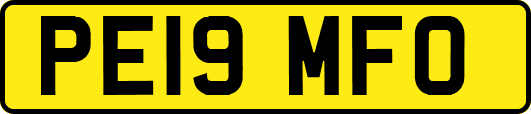 PE19MFO