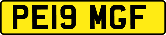 PE19MGF