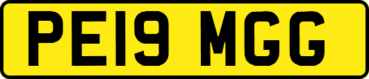 PE19MGG