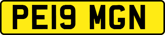 PE19MGN