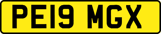 PE19MGX