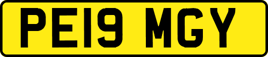 PE19MGY