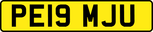 PE19MJU