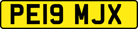PE19MJX