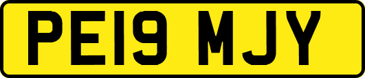 PE19MJY