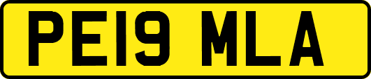 PE19MLA