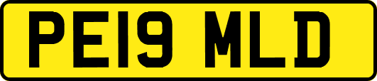 PE19MLD