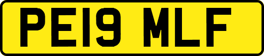 PE19MLF