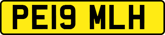 PE19MLH