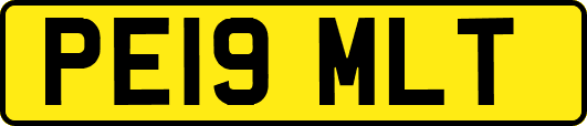PE19MLT