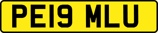 PE19MLU