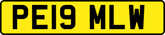 PE19MLW