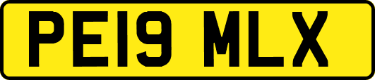 PE19MLX