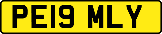 PE19MLY