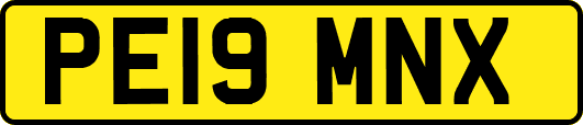 PE19MNX