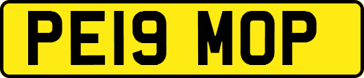 PE19MOP