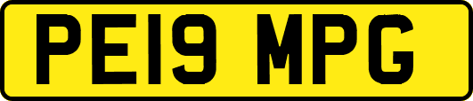 PE19MPG
