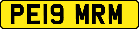 PE19MRM