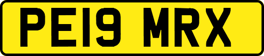 PE19MRX