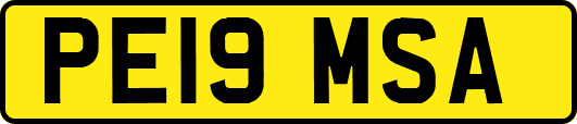 PE19MSA