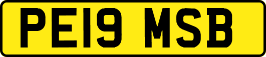 PE19MSB
