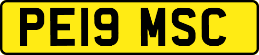 PE19MSC