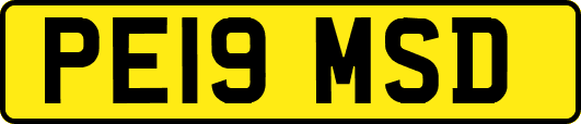 PE19MSD