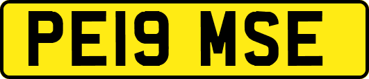 PE19MSE